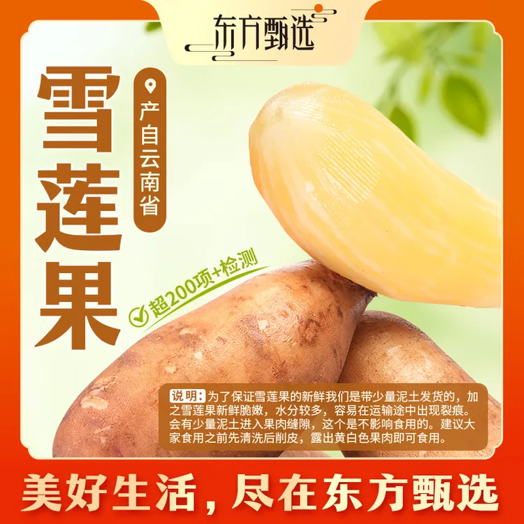 东方甄选自营雪莲果脆爽清甜水润多汁新鲜水果坏果包赔
