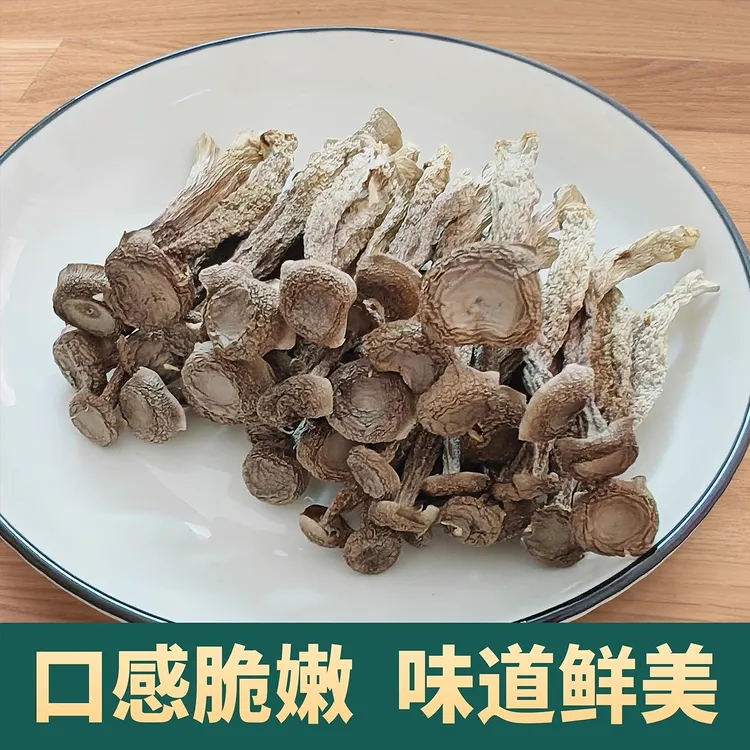 鹿茸菇【T】50g*4包脆脆菇农家特产脆爽营养优质鹿茸菌T