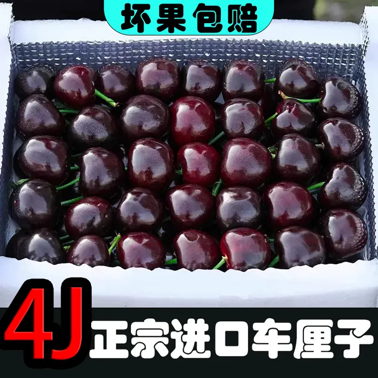 原箱J-5J智利正宗进口海运车厘子颗颗精选（内附果径卡）