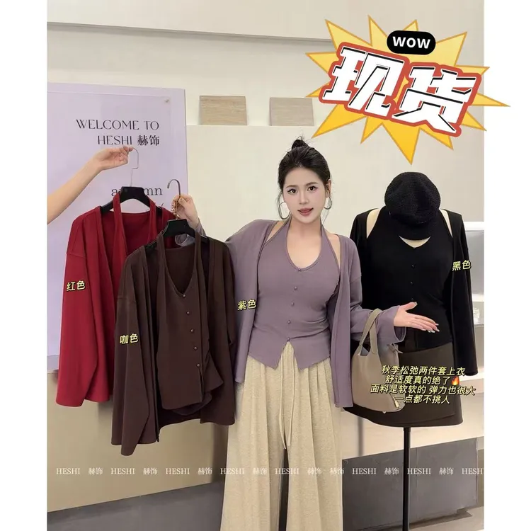 【HESHI】胖MM新款2025秋季大码微胖遮肉显瘦气质上衣两件套09003D