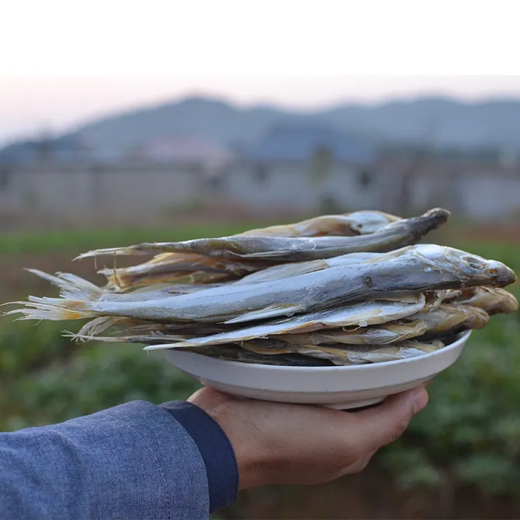 江西淡水小河鱼咸鱼刁子鱼翘嘴餐条鱼干500g淡水小鱼干去内脏白条