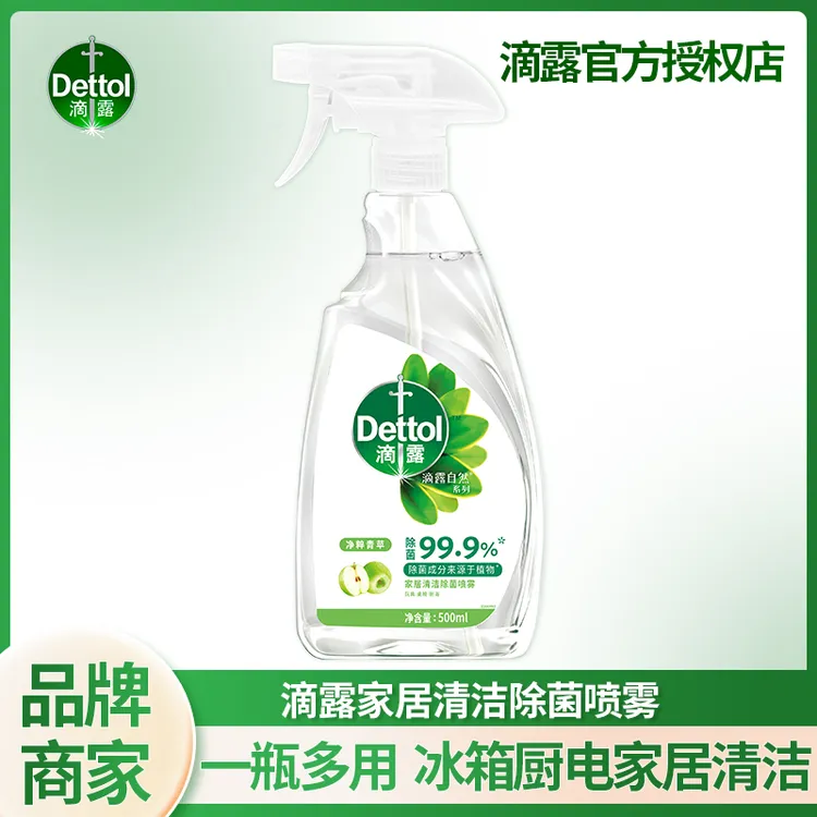 Dettol/滴露冰箱微波炉家居清洁除菌喷雾去异味免水洗除味清洗剂