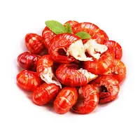 【三胞胎专享】一级龙虾尾 3斤 10%冰