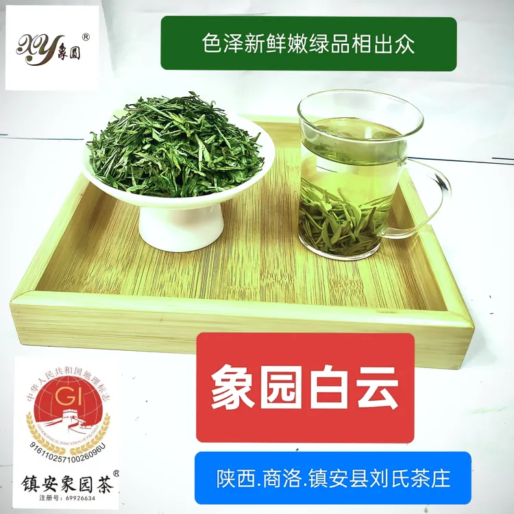 陕西商洛2025高山云雾浓香型明前绿茶镇安特产象园白云茶