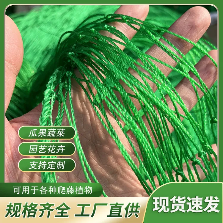 植物爬藤网蔬果网豆角丝瓜黄瓜月季花卉攀爬网阳台庭院葡萄搭架网