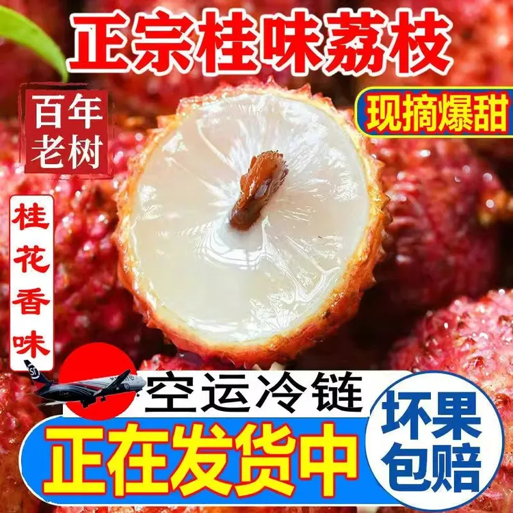 正宗桂味荔枝当季新鲜水果现摘白糖妃子荔枝罂笑老树大果整箱