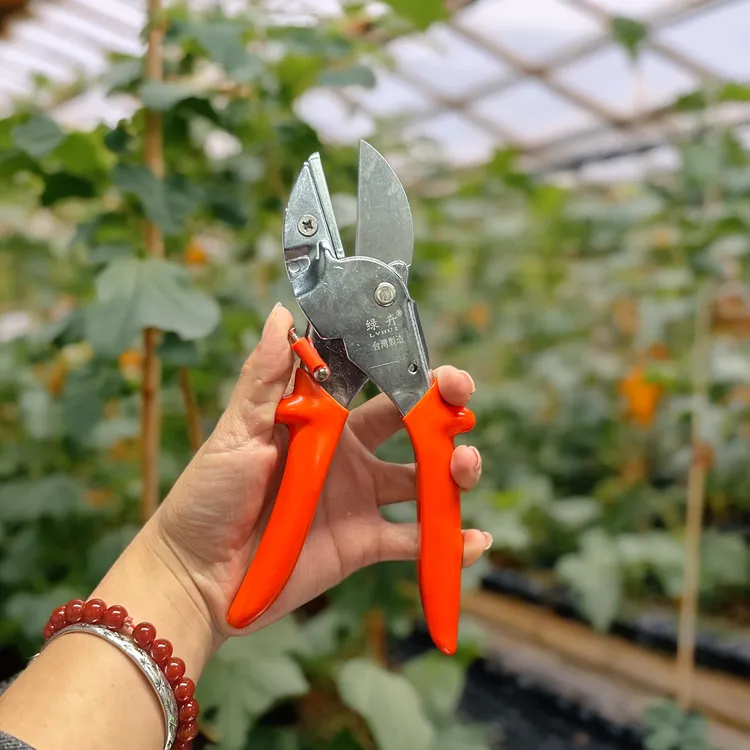 修枝剪树枝园林进口修剪省力园艺粗枝剪刀修枝剪刀花枝果树剪子