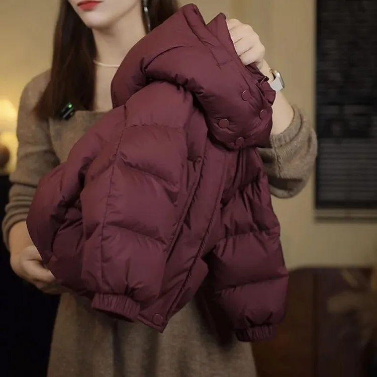 范哲萨反季新款安可拉红儿童加厚洋气羽绒棉服外套连帽男女童韩版