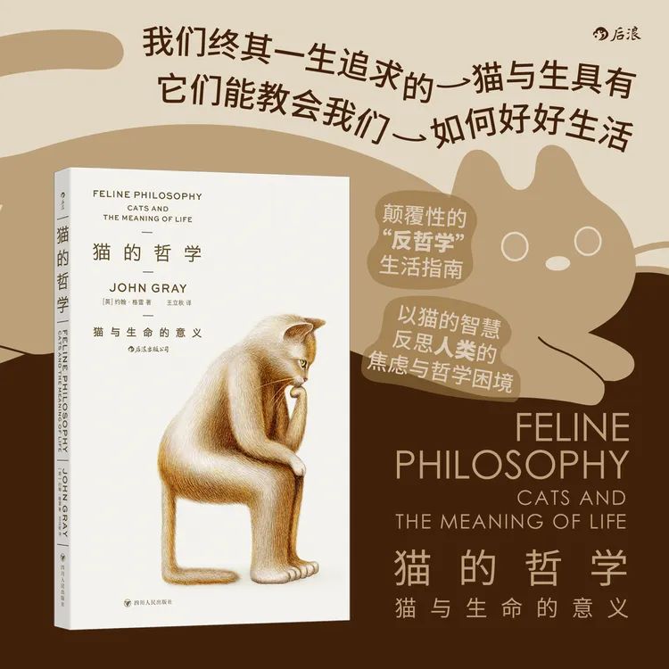 猫的哲学 我们终其一生追求的，猫与生具有