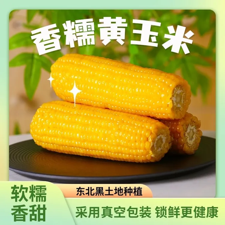 【试吃两支】14支糯九黑龙江玉米25年糯玉米真空包装整箱6斤半以上