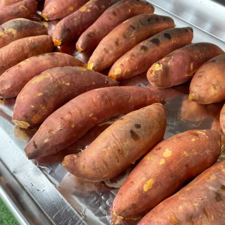 现挖山地烟薯25烤红薯香甜可口软糯无筋