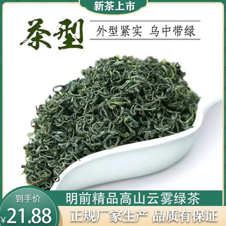【 正规厂家生产】明前精品高山云雾绿茶，新茶上市试喝装