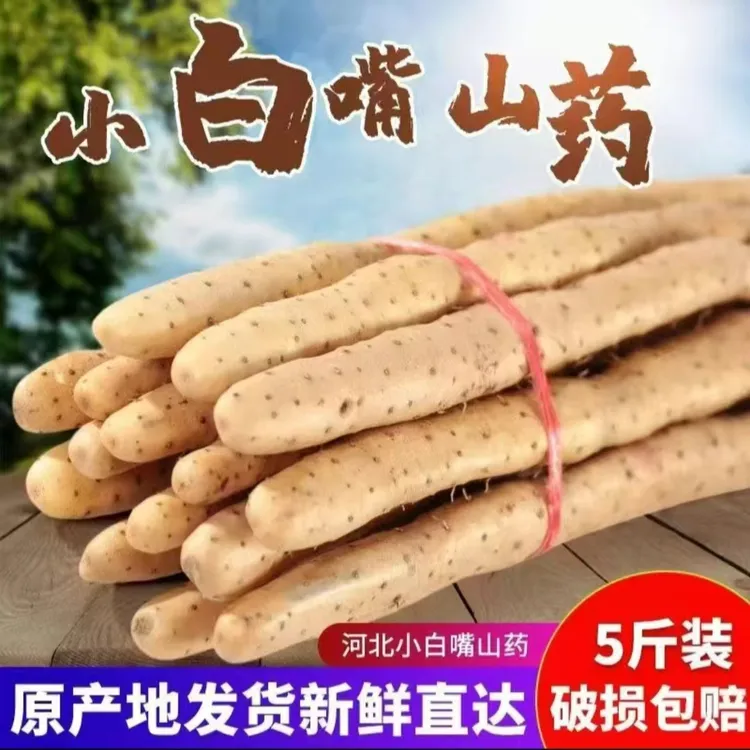 正宗小白嘴山药70公分软糯香甜产地直发4.5-5斤滋补山药新鲜带土