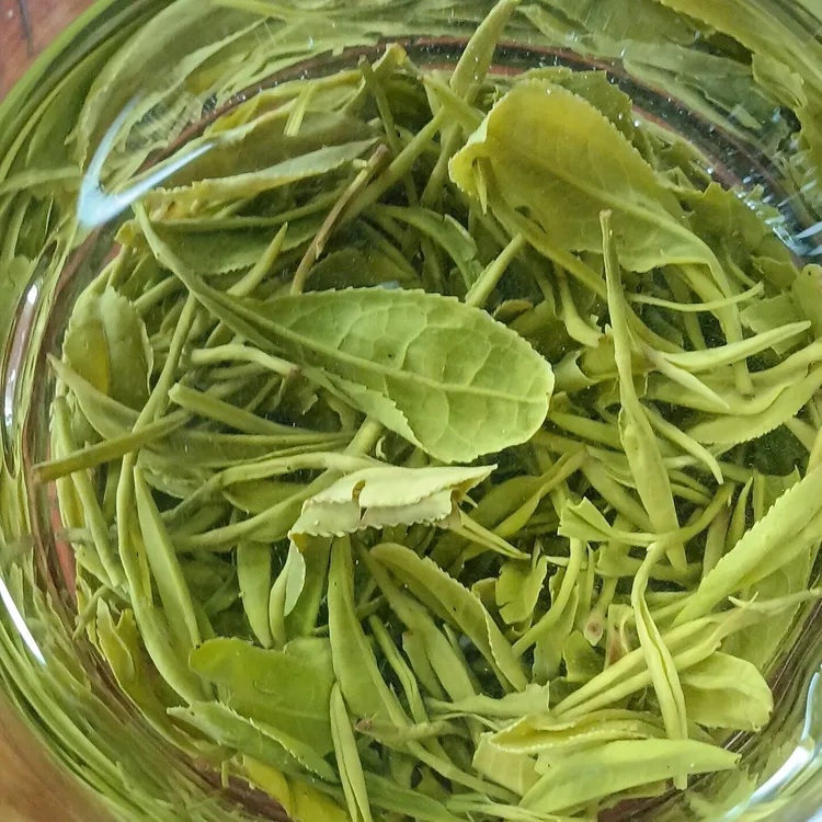 新茶明前茶珍品特级狗牯脑茶春茶江西茶遂川汤湖绿茶鲜爽茶叶醇厚