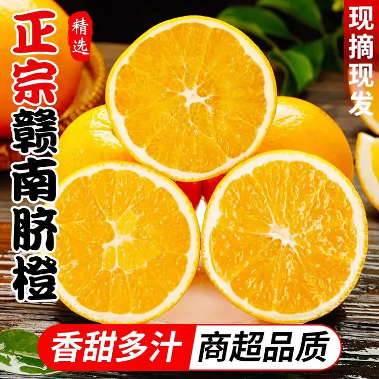 （果园直发 ）正宗赣南脐橙橙子 脐橙 应季水果 现摘现发 坏果包赔