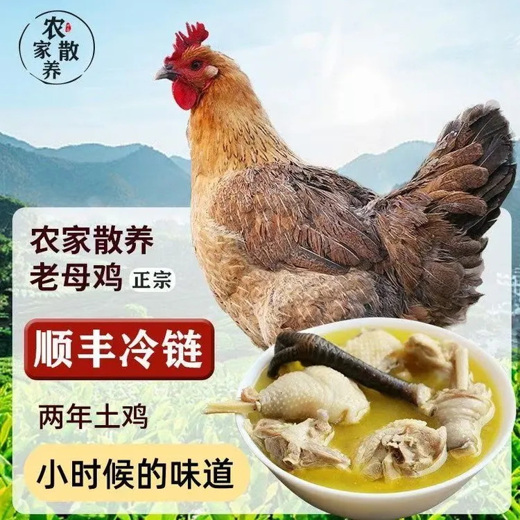 农村本地纯粮食散养土鸡