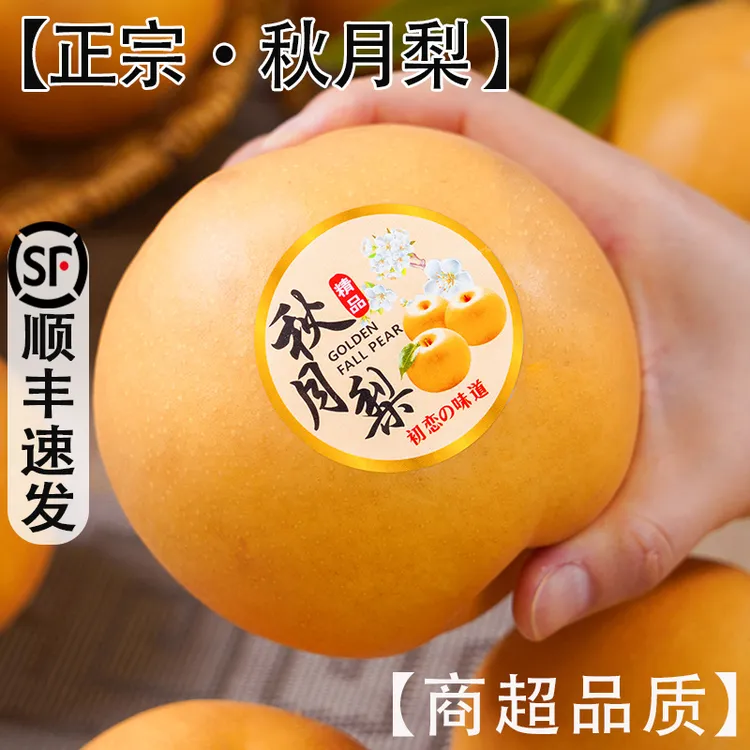 顺丰正宗秋月梨中秋水果新鲜现摘现发脆甜多汁当季水果维C