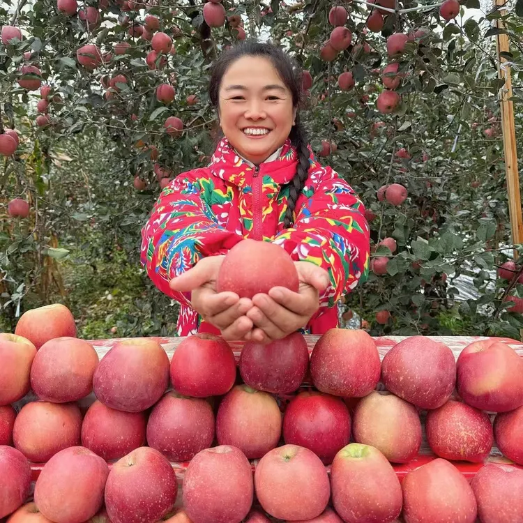 【精品果】云南昭通冰糖心丑苹果脆甜多汁产地直发新鲜到家