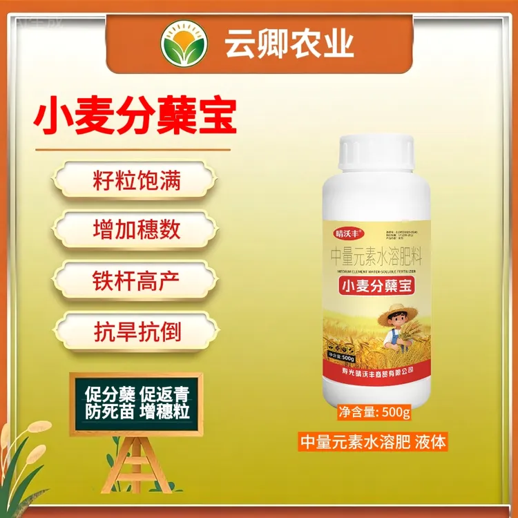 小麦分蘖宝冬小麦壮苗大麦黄金生根壮苗抗旱防冻增产剂抗倒伏