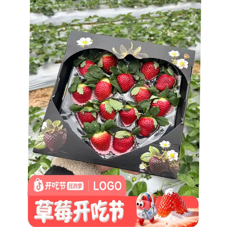 【草莓开吃】云南高原露天种植新鲜采摘发货黑珍珠草莓专属黑礼盒