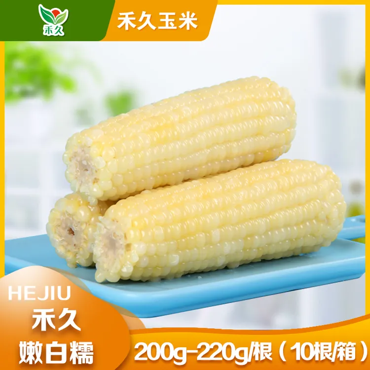 【禾久】白糯玉米10根/箱（中果：单根200g-220g）