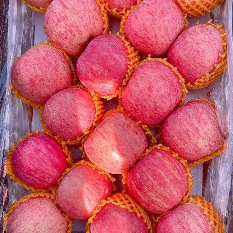 陕西洛川苹果红富士当季新鲜水果糖心香甜可口脆甜多汁正宗战机