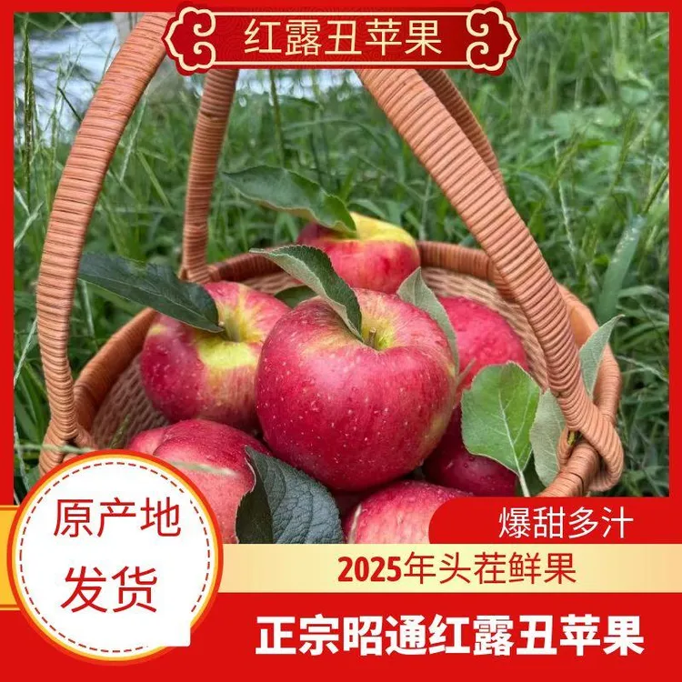 云南正宗昭通丑苹果5斤新鲜脆甜现摘