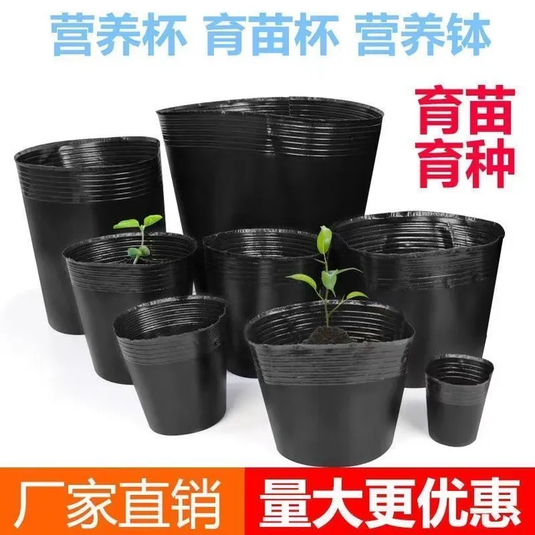 营养杯育苗杯一次性黑色营养袋育苗袋大号播种植塑料育苗盆营养钵