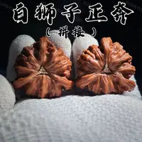 【轩辕专属】HT01  白狮子正奔(拼接）（打底） 文玩核桃