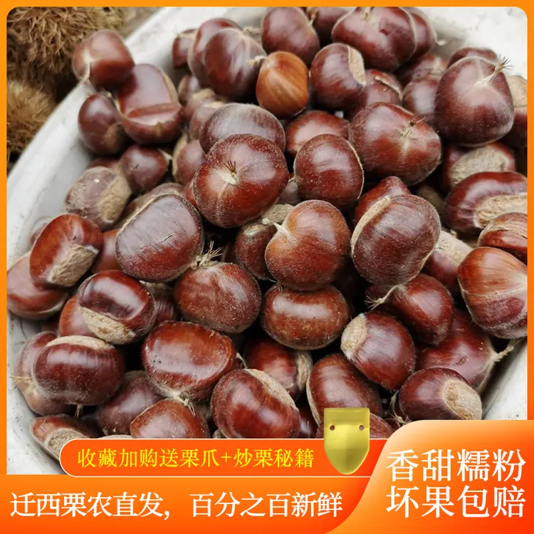 正宗迁西板栗新鲜生栗子油栗小栗带壳毛栗唐山特产农家直发包邮
