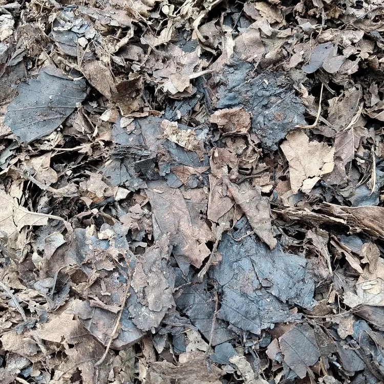 粉丝专属福利套！养花轻松上手，给花满满的营养