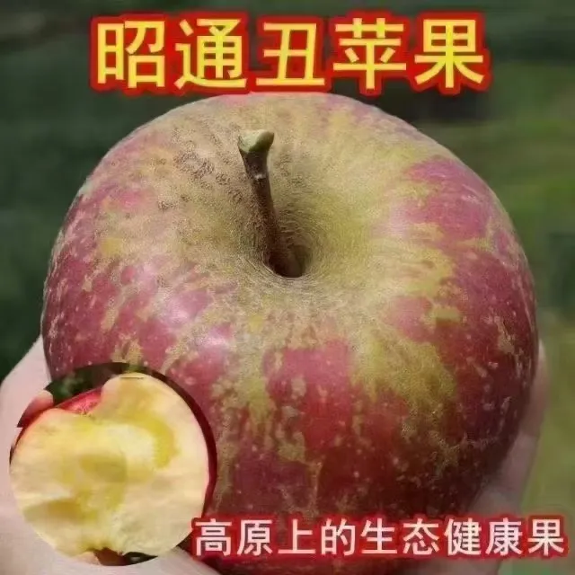正宗云南昭通冰糖心丑苹果新鲜脆甜多汁产地直发水果