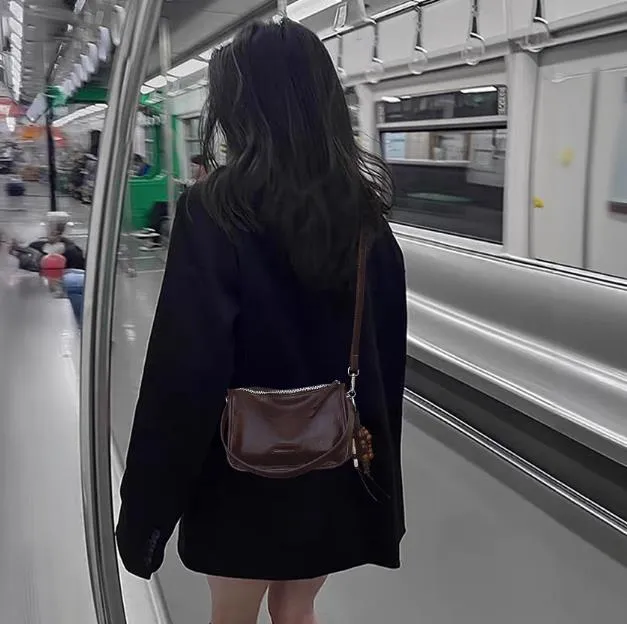 咖色超火手提枕头包包女式2025新款秋冬轻奢小众高级感通勤斜挎包