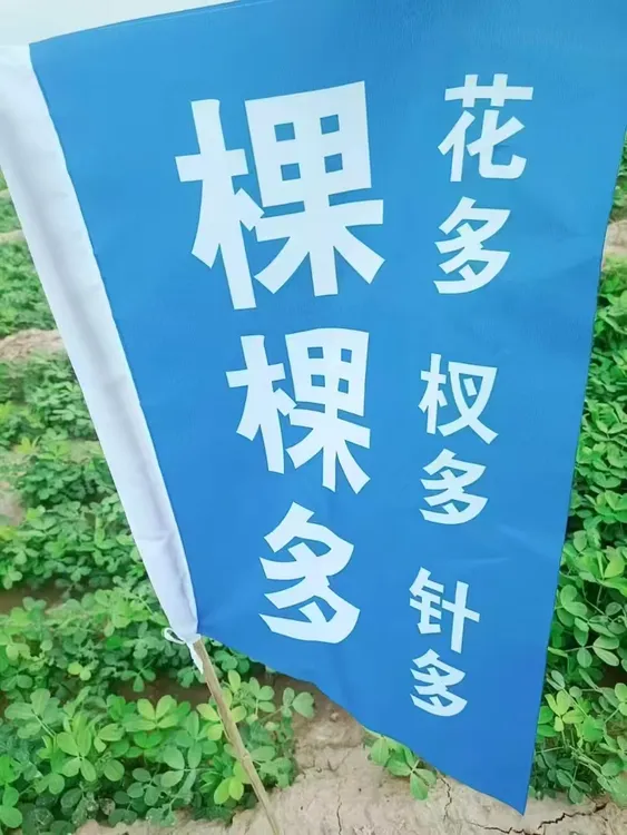 花生辣椒杈多花多果多