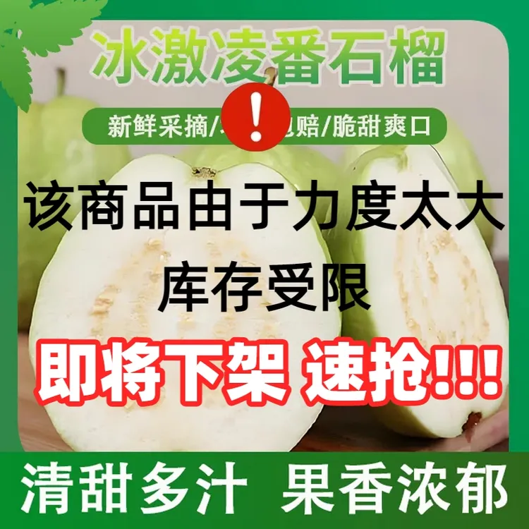 【软糯奶油冰淇淋口感】正宗南沙软糯芭乐番石榴新鲜当季水果