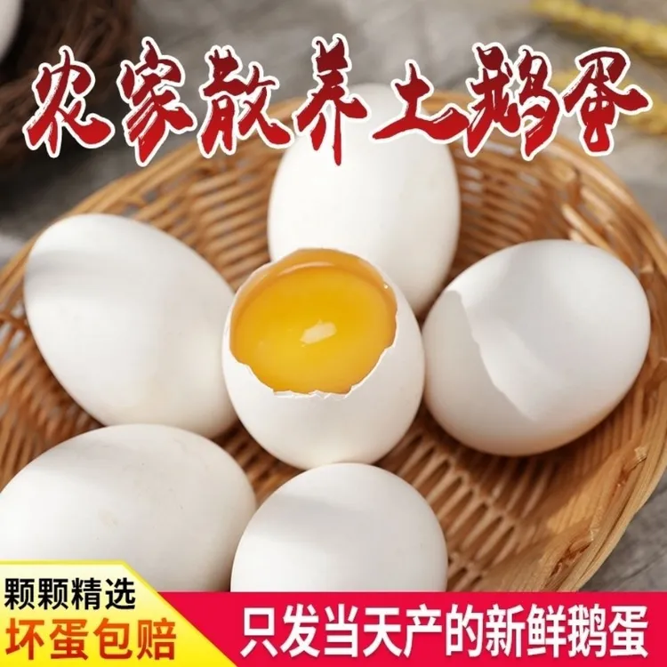 新鲜农家散养土鹅蛋现捡现发整箱20枚鹅蛋破损包赔