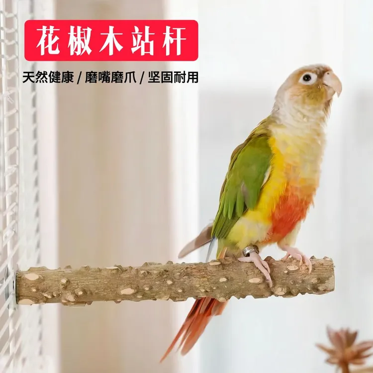 鹦鹉站杆天然花椒木站杆磨爪棒牡丹玄凤虎皮鹦鹉八哥站棍鸟笼站杆