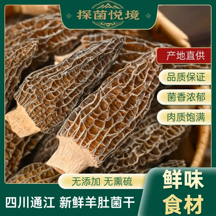 六妹羊肚菌爽口菌菇干货 肉质饱满 菌香浓郁营养