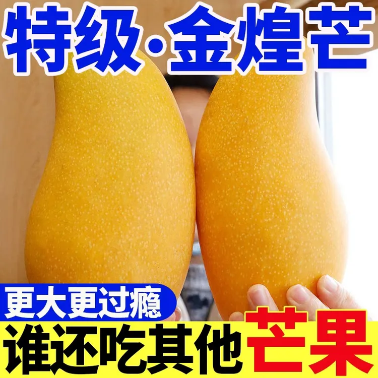 【正宗金煌芒】云南金煌芒黄皮大芒果特大水仙芒大芒果10斤