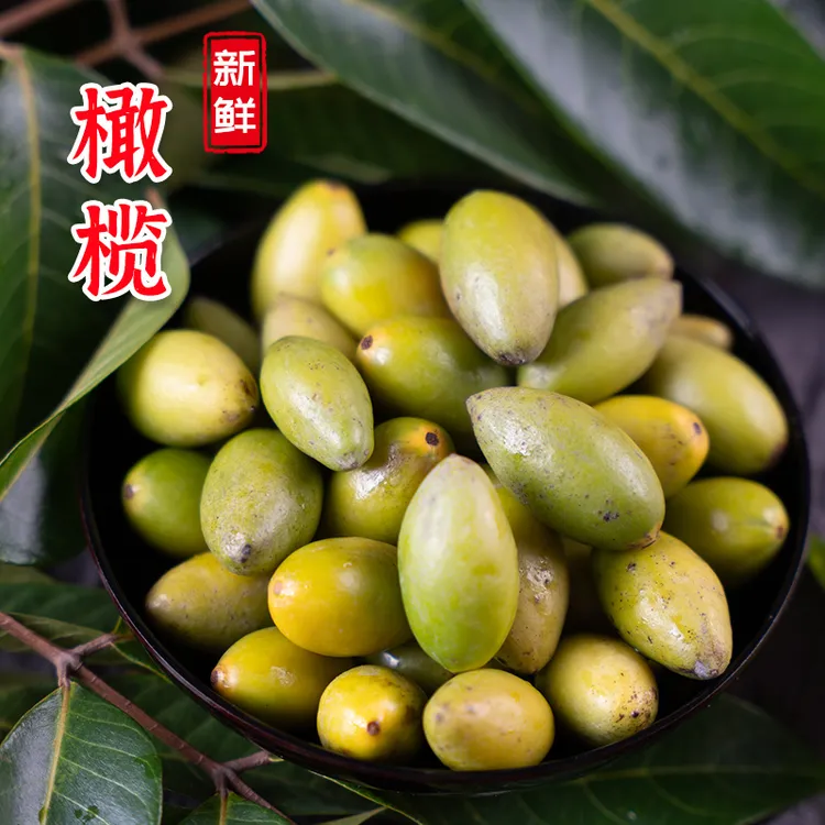 福建永泰 新鲜现摘天然青橄榄生吃煲汤潮汕特产水果