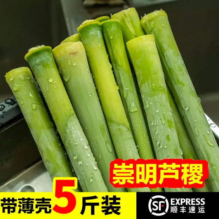[发顺丰]正宗崇明岛老品种青皮青肉甜芦粟5斤中段甘甜清爽松脆