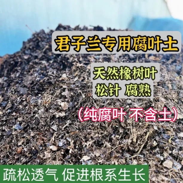 君子兰专用营养腐叶土疏松透气橡树叶 松针 木炭 珍珠岩（四合一）