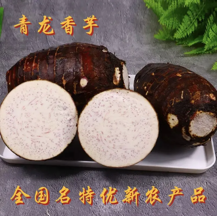 【桂夫人】广西平乐青龙香芋/专供荔浦芋/软糯香粉/现挖现发/槟榔芋