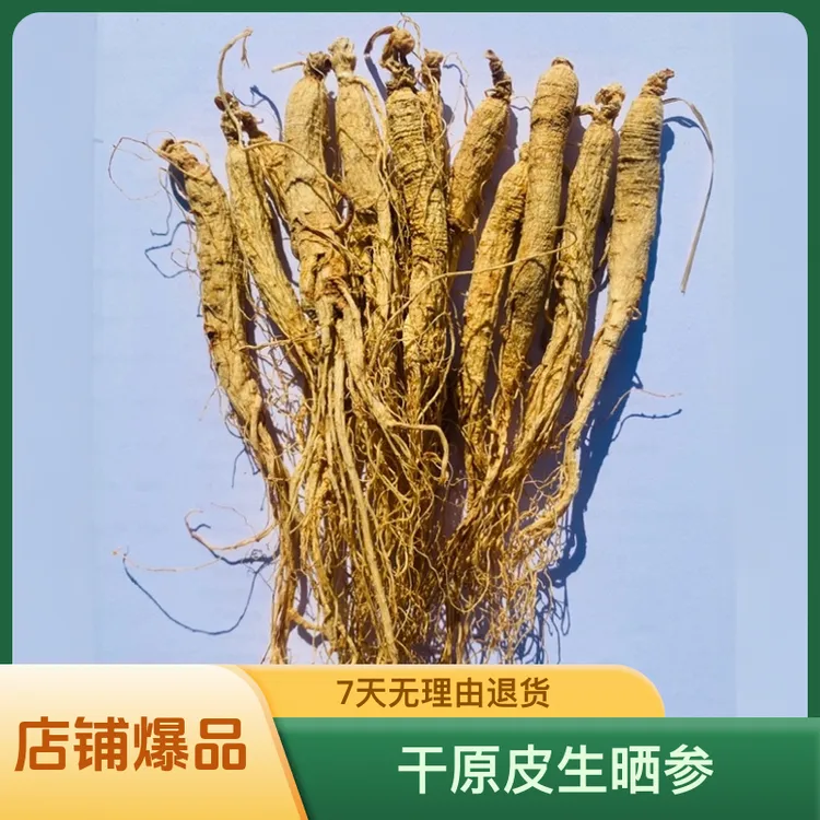 ZOCI长白山人参5克左右精挑生晒参炖汤泡酒泡水滋补养生食材