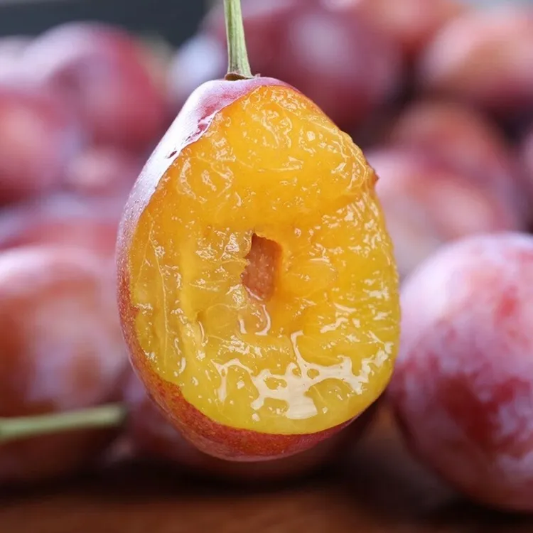 【新疆小李专属】空运发货新疆伽师法兰西西梅头茬产地直发女神果