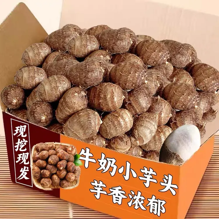 正宗牛奶小芋头云南高山特产现挖现发新鲜软糯香甜小芋头拉丝农家