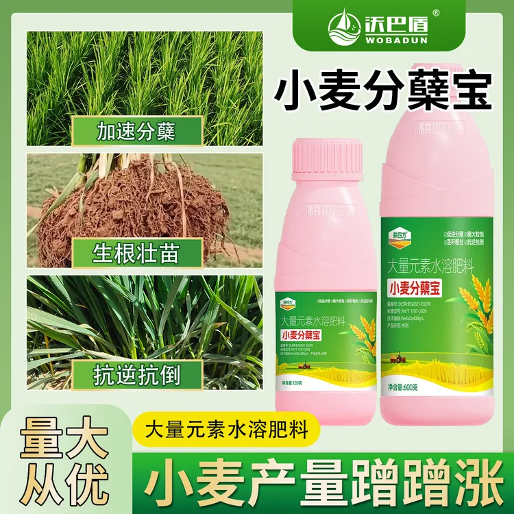 耕四方小麦分蘖宝小麦专用肥小麦促分蘖肥生根壮苗防冻抗旱叶面肥