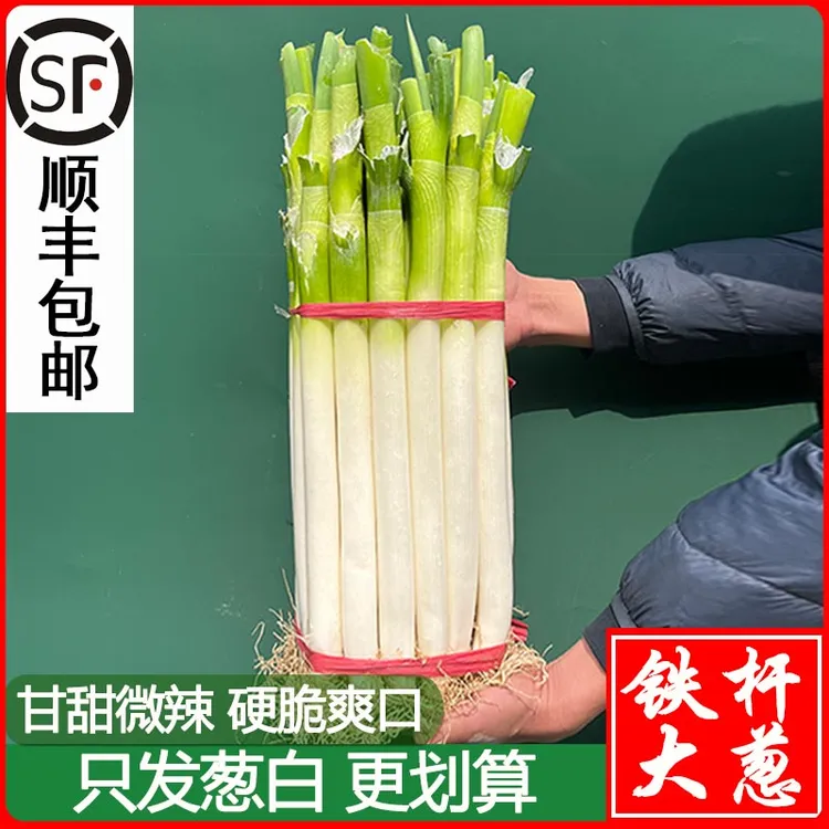 【顺丰】无叶葱正宗山东铁杆大葱新鲜蔬菜农家5/10斤甜脆非章丘大葱