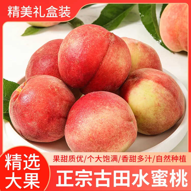 【正宗古田水蜜桃】福建水蜜桃新鲜水果脆甜桃子水果现摘5斤礼盒装