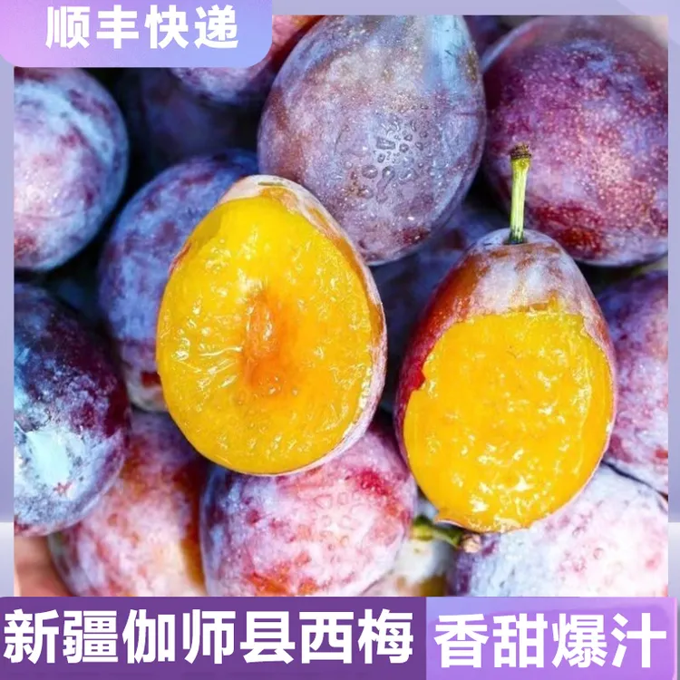 【顺丰快递】新疆喀什伽师县法兰西西梅 3/4斤 新鲜采摘 香甜多汁